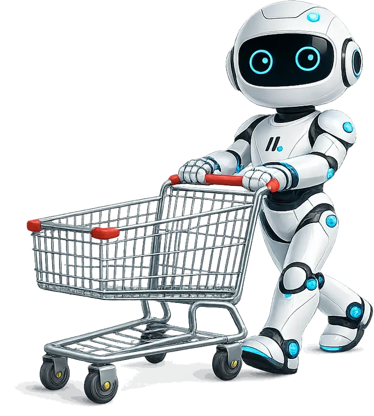 Boutique en ligne sur-mesure développée par DiWeBot